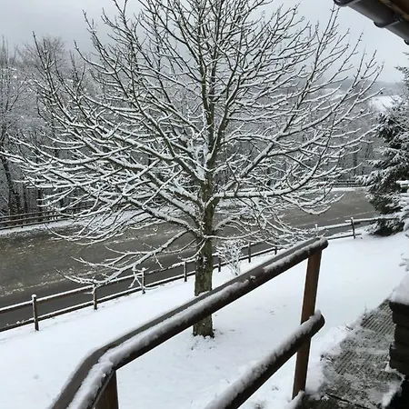 Deutsches Haus - Апартаменти *