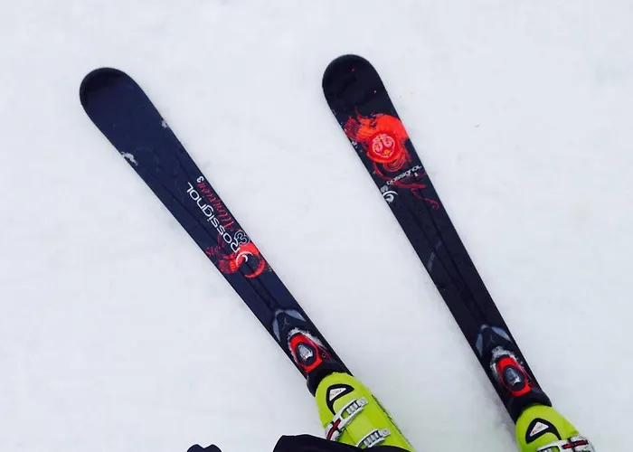 Deutsches Haus - Appartement Willingen (Upland)