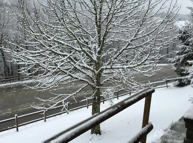 Deutsches Haus - Appartement *